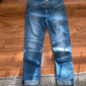 Hudson Cropped Jeans